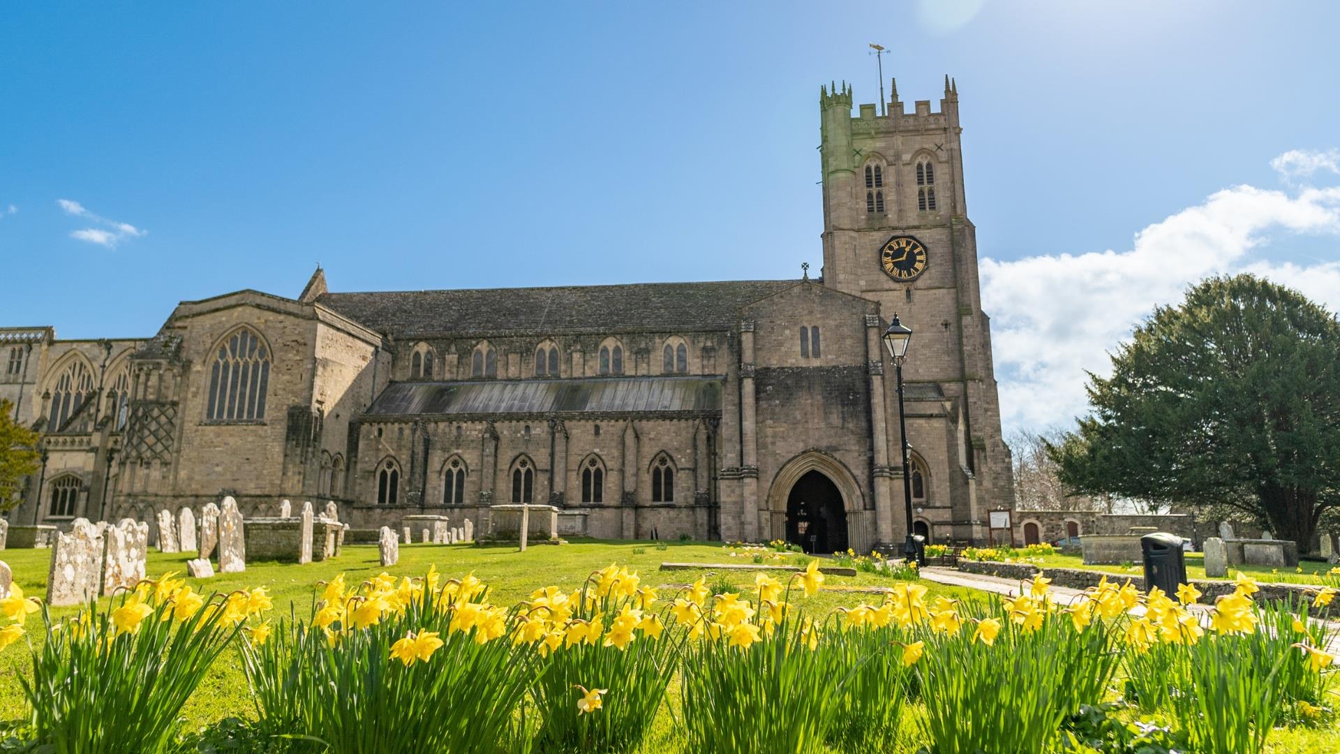 Yellow flowers blooming around the Priory on a crisp spring day
