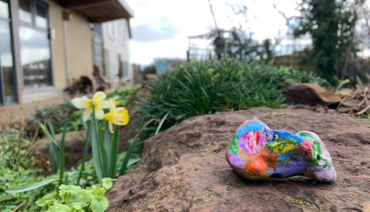 Coloured painted rock in nature