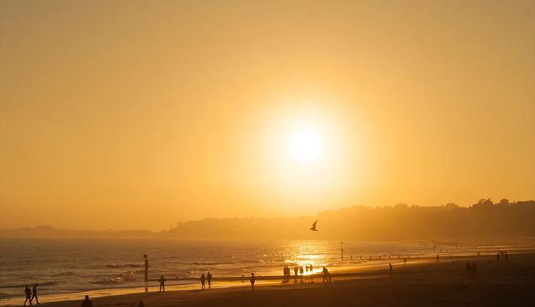 Golden sunshine beach with people