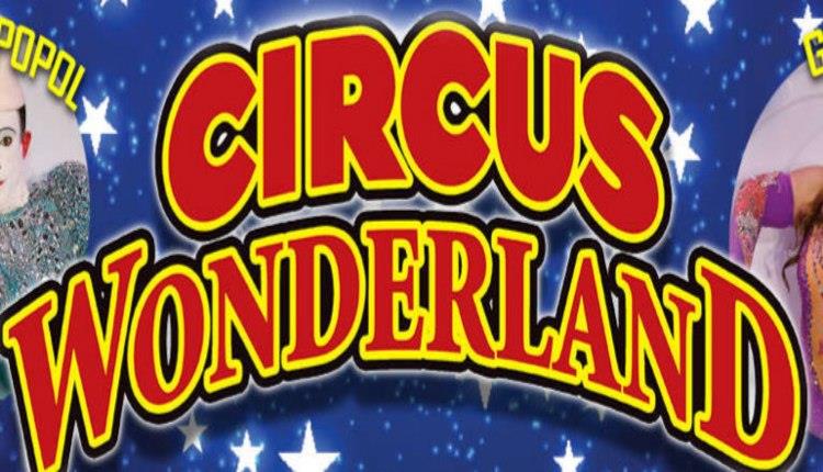 Circus wonderland logo