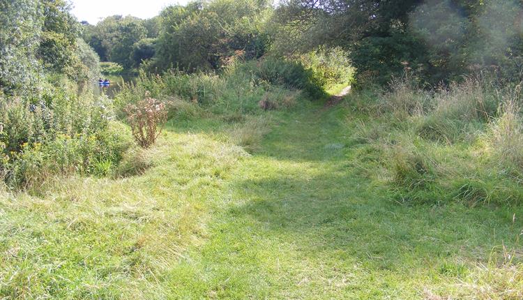 Monday morning meanders picture of grassy track