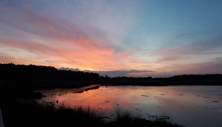 Sunset with pink and blue sky