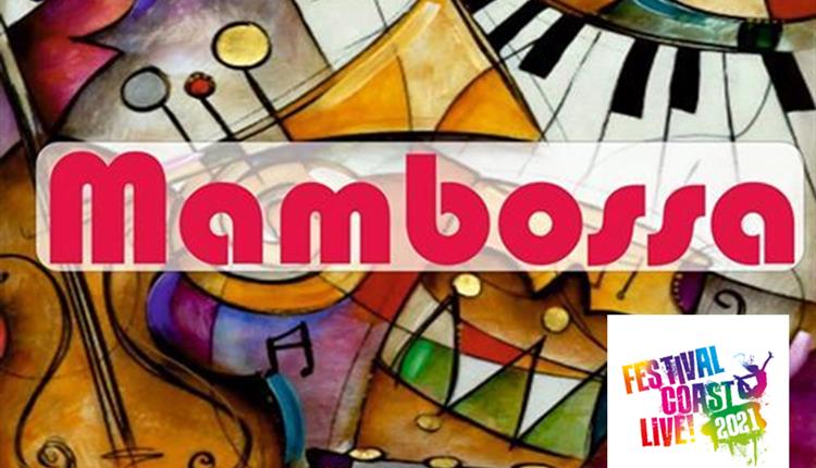 colourful musical instrument logo with Mamboss across middle