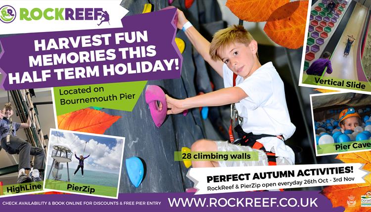 Little boy climbing the climbing wall in a white tshirt looking at the camera.