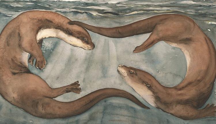 Otter artwork by Jackie Morris