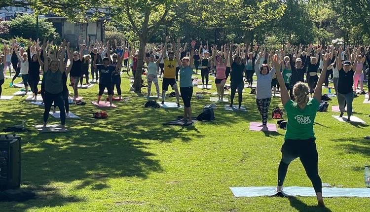 Crowd of people doing yoga on the grass on a sunny day