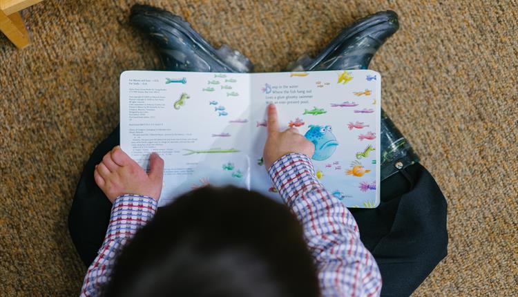 A young child reading a story book about fish.