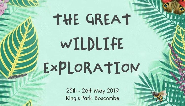 natural and green themed design for the great wildlife exploration