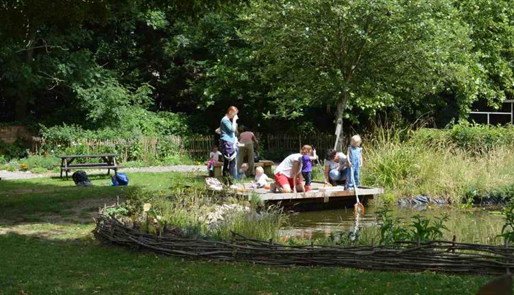 Pond Dipping