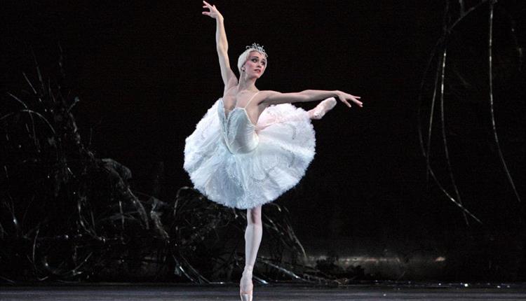 Royal Ballet: Swan Lake